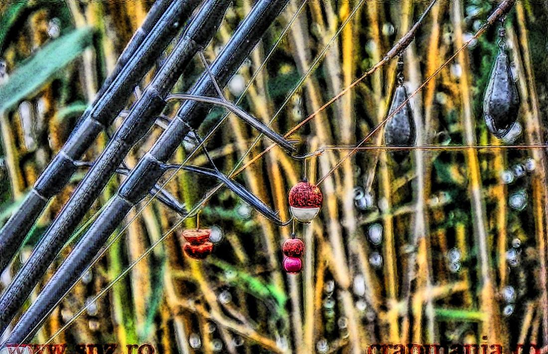 Boiliesmania 2013  (4) - 1031713hdrmode2.jpg